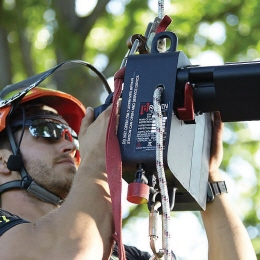 Arboriculture